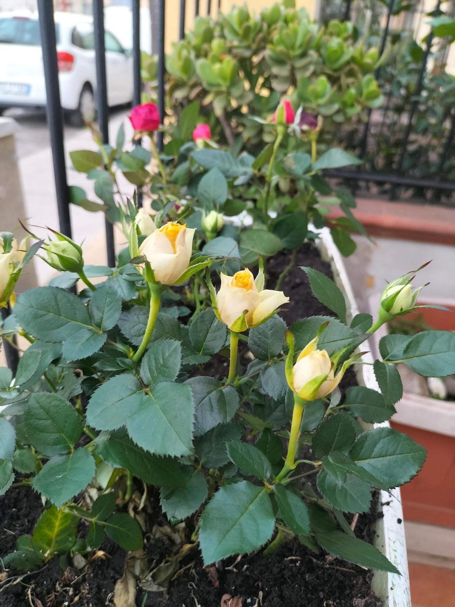 팔레르모 Ciuridda Mia 아파트 외부 사진